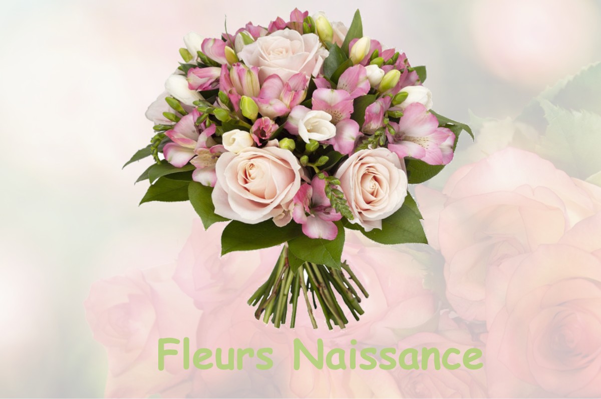 fleurs naissance MORBIER