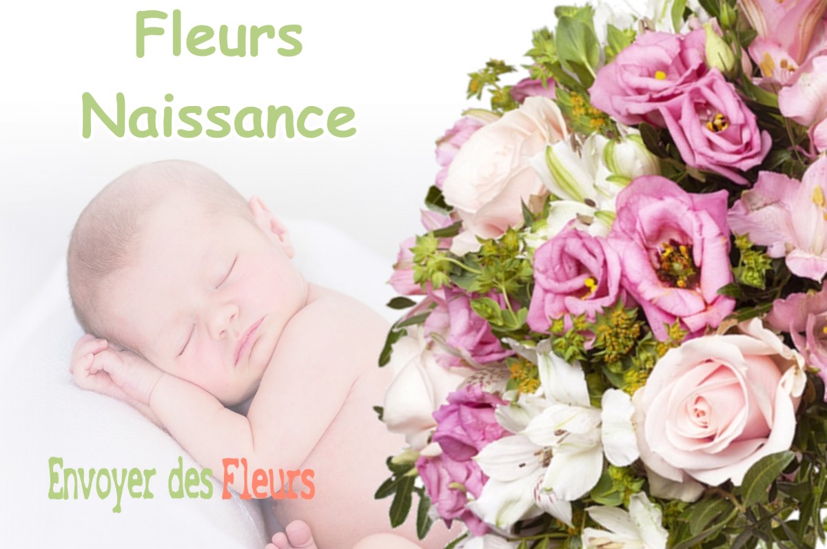 lIVRAISON FLEURS NAISSANCE à MORBIER